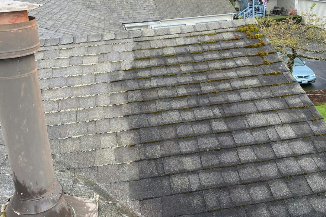 residential roof construction Trinity FL
