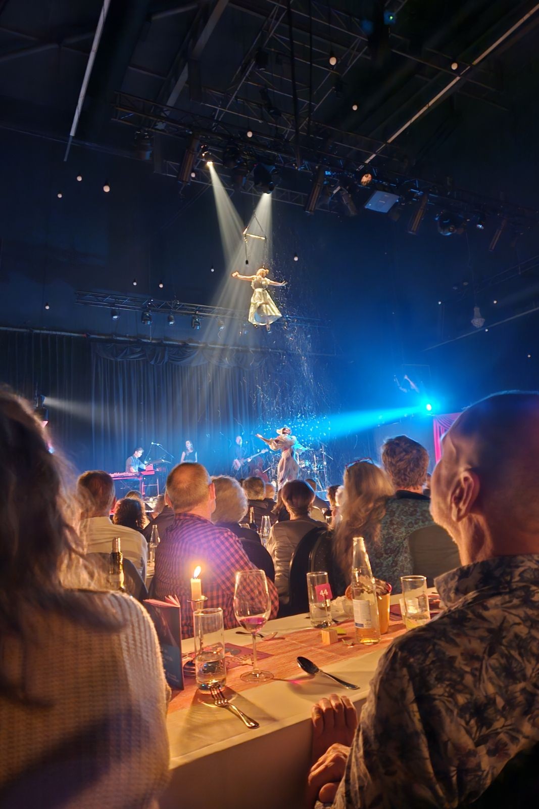 Artisten im Zirkus am Trapez mit Publikum