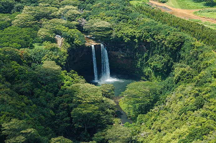 Wailua Falls, the twin waterfall near Lihue on Kauai, dropping into a pool ringed by rainforest