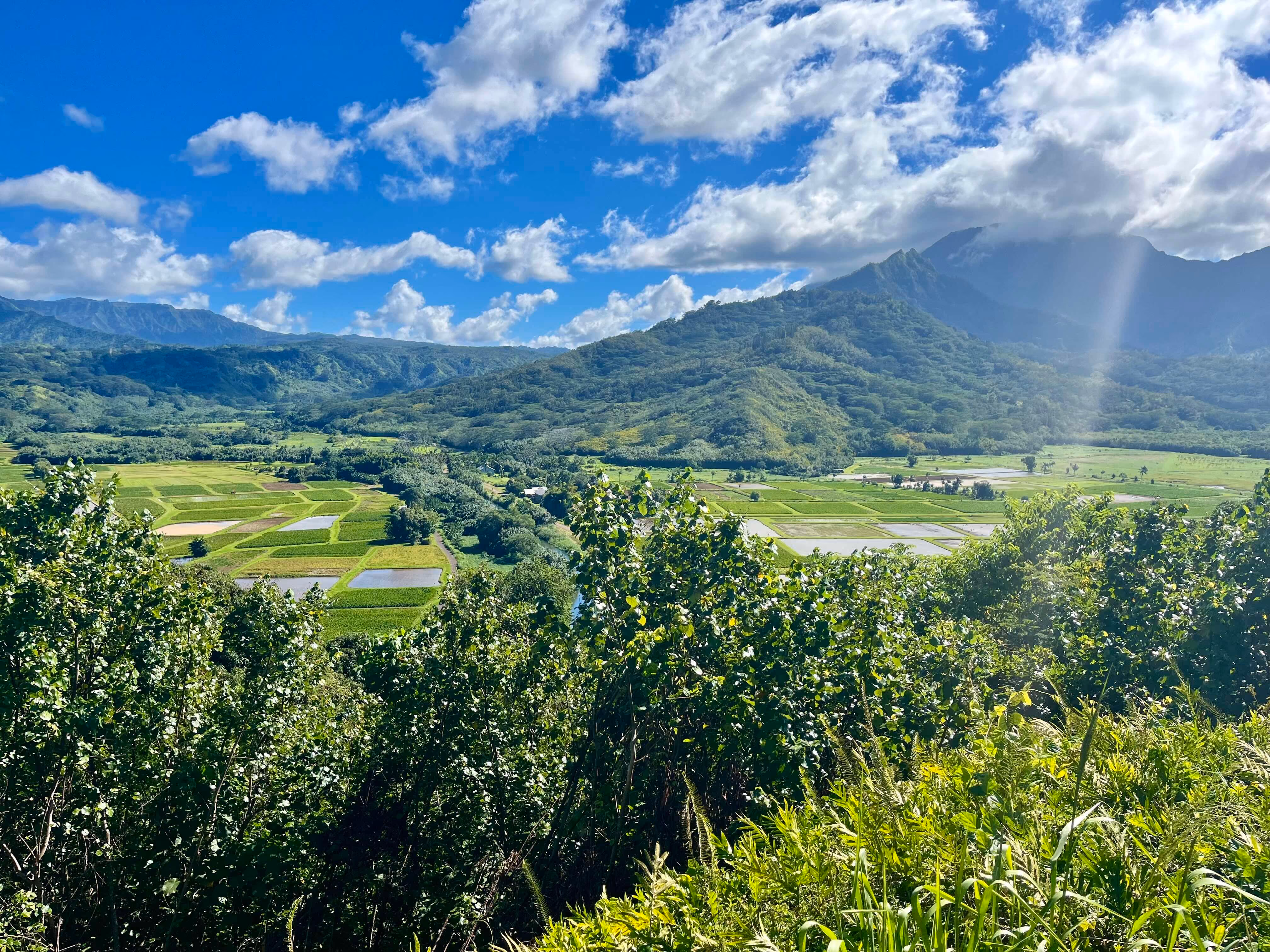 Kauai's North Shore coastline, visited on the private movie locations tour