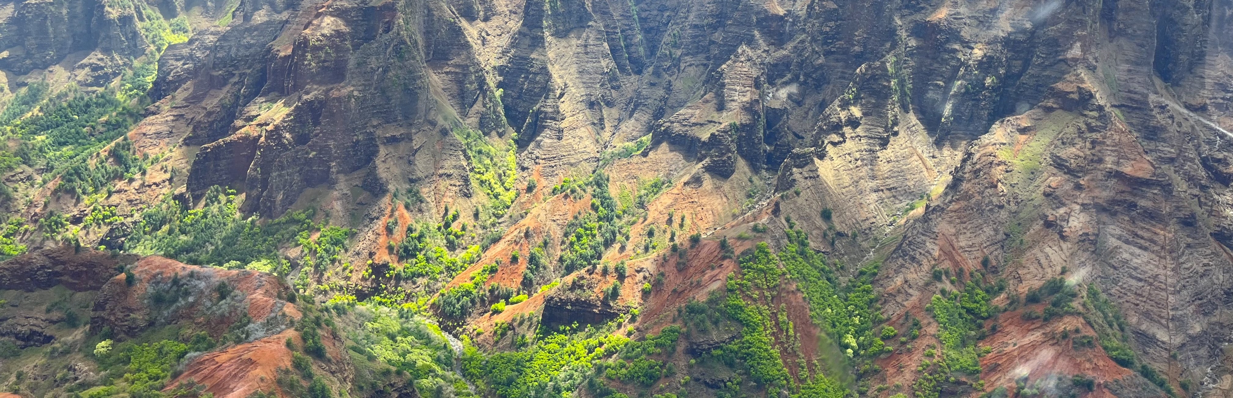 The red and green ridges of Waimea Canyon seen from a lookout on a private tour of Kauai