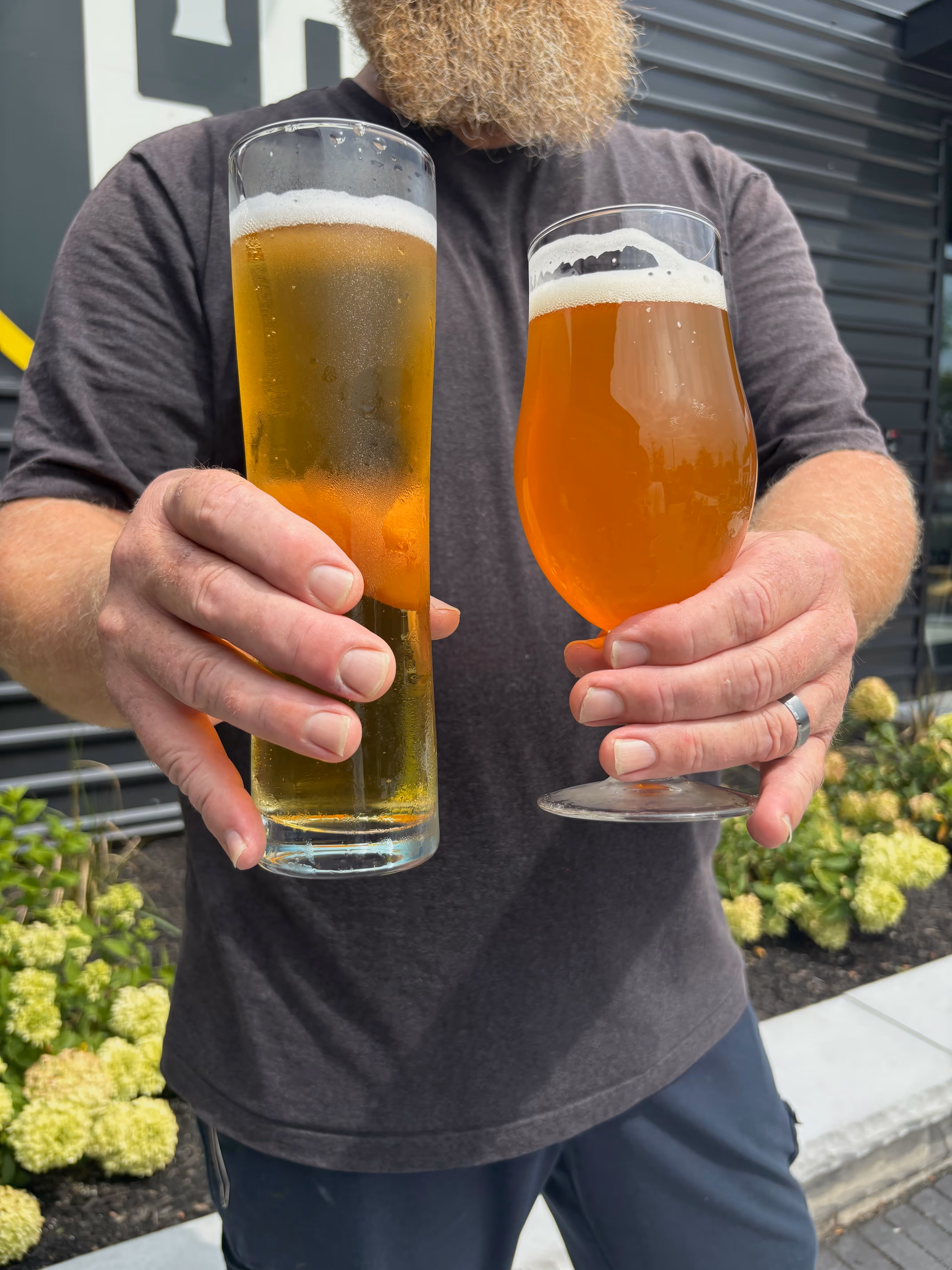 Person holding two styles of beer glasses—one tall pint and one round brewery glass—filled with Old Route 69 craft beer in Ada, Ohio.