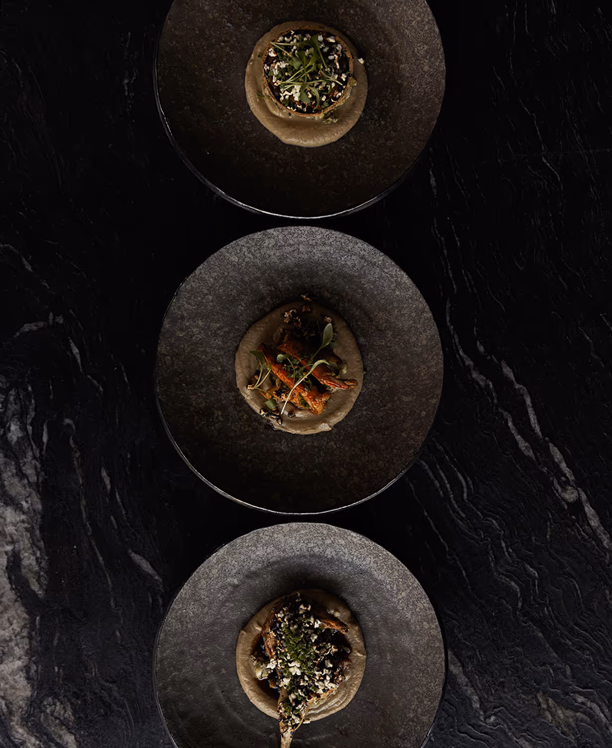 Beautifully presented dish.