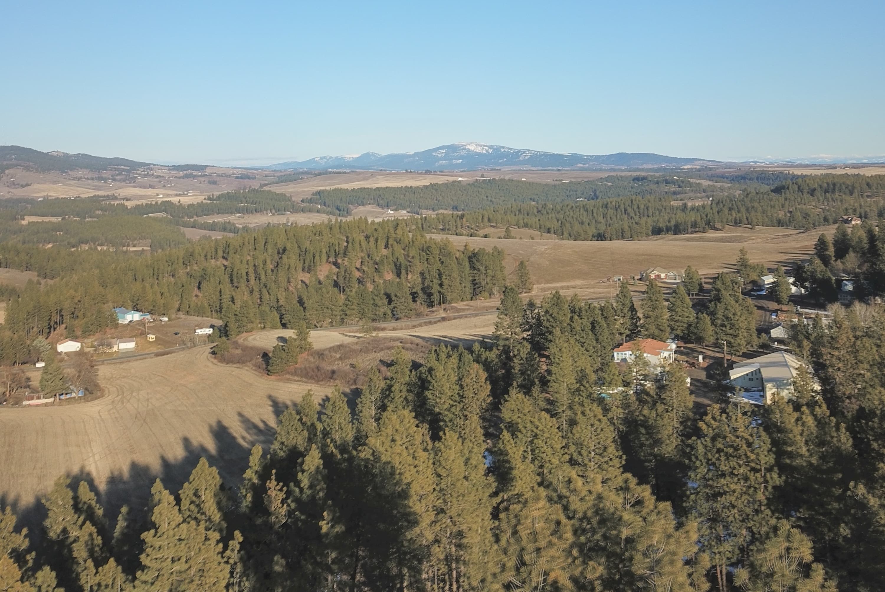 ariel view of forest landscape