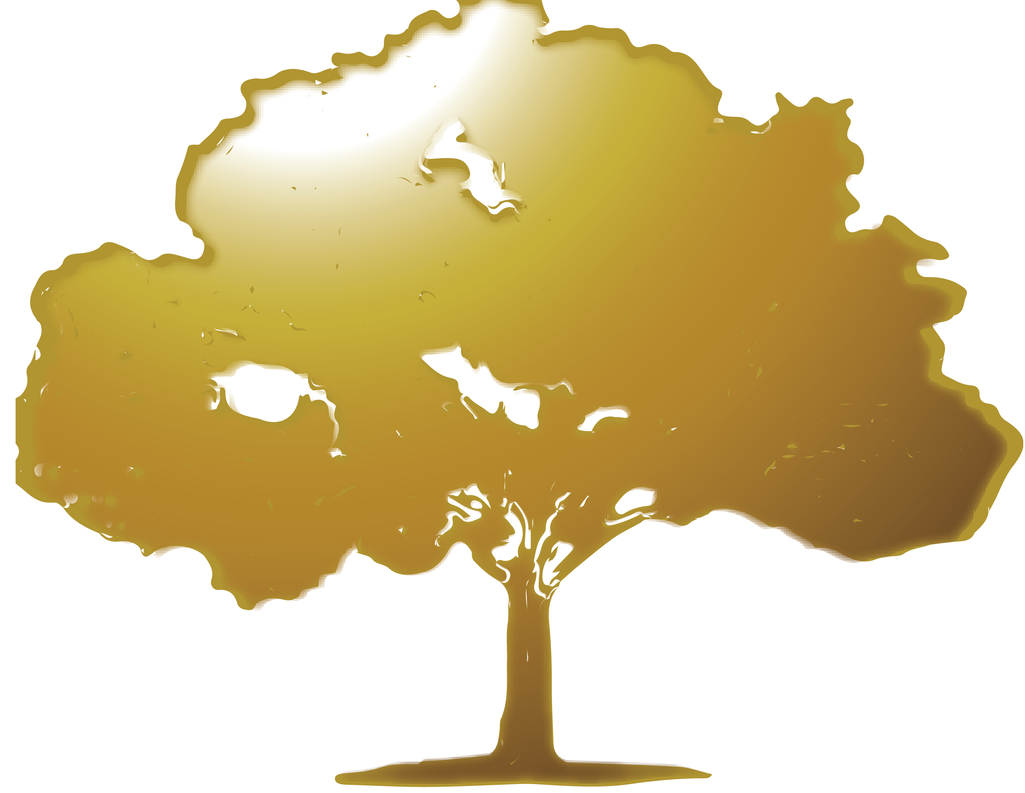 SIBIRJA Partner Logo - Aurim SPA Vienna