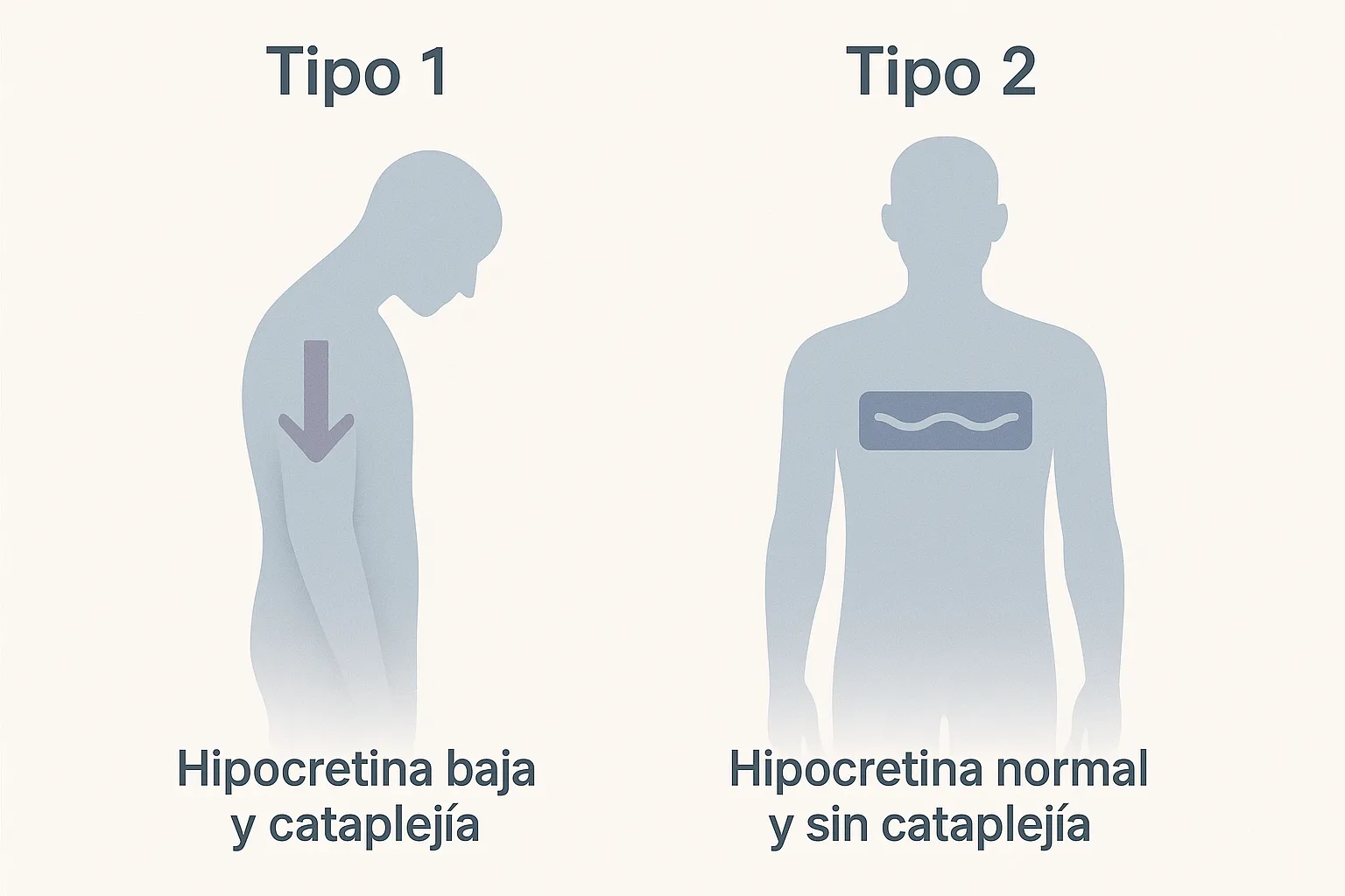 Ilustración comparativa de dos siluetas humanas que representan los tipos 1 y 2 de narcolepsia, con íconos simbólicos de hipocretina.