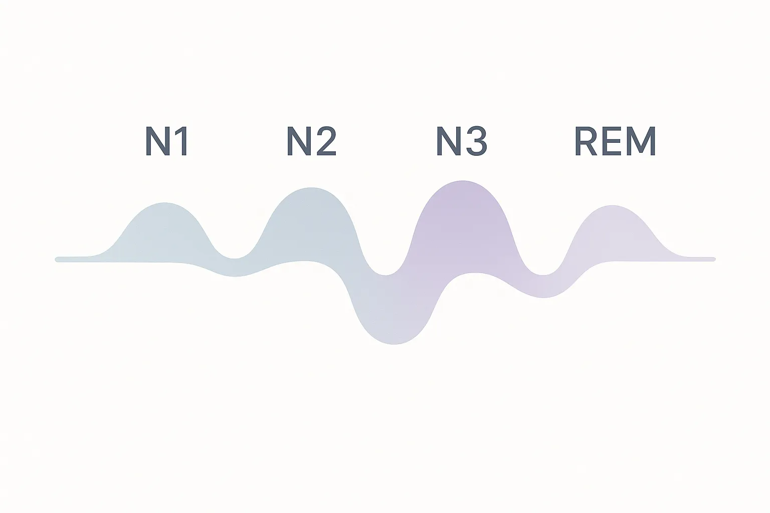Infografía minimalista en forma de línea ondulada que representa un ciclo de sueño dividido en fases N1, N2, N3 y REM.