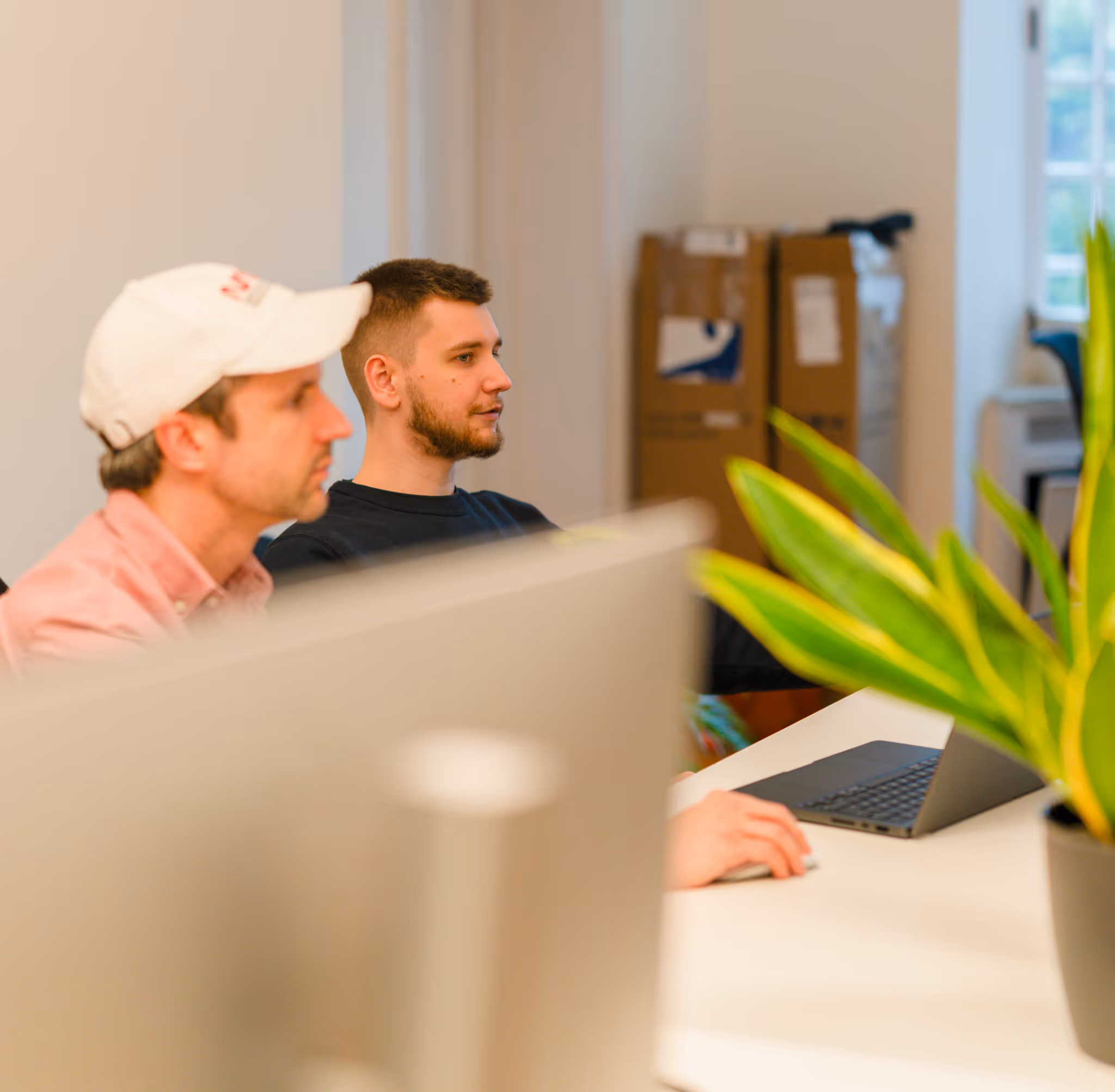 A man is sitting in front of a computer with a potted plant behind him.