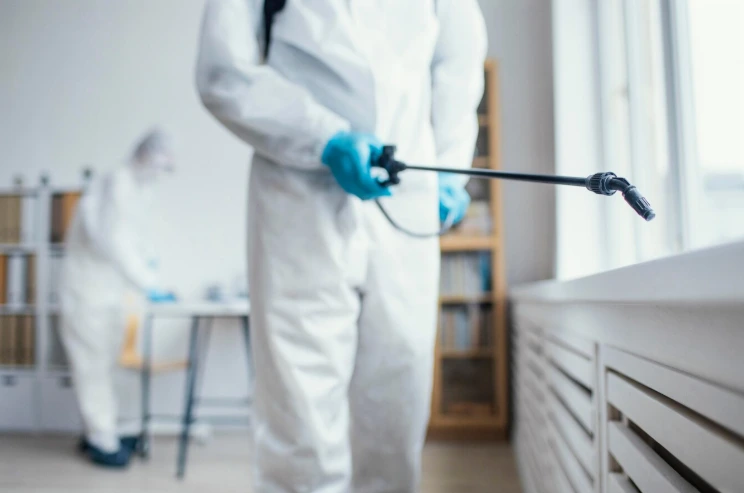 The 8 Best Pest Control SEO Agencies in the UK (2025)