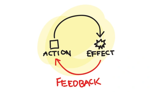 Customer Feedback Mechanisms