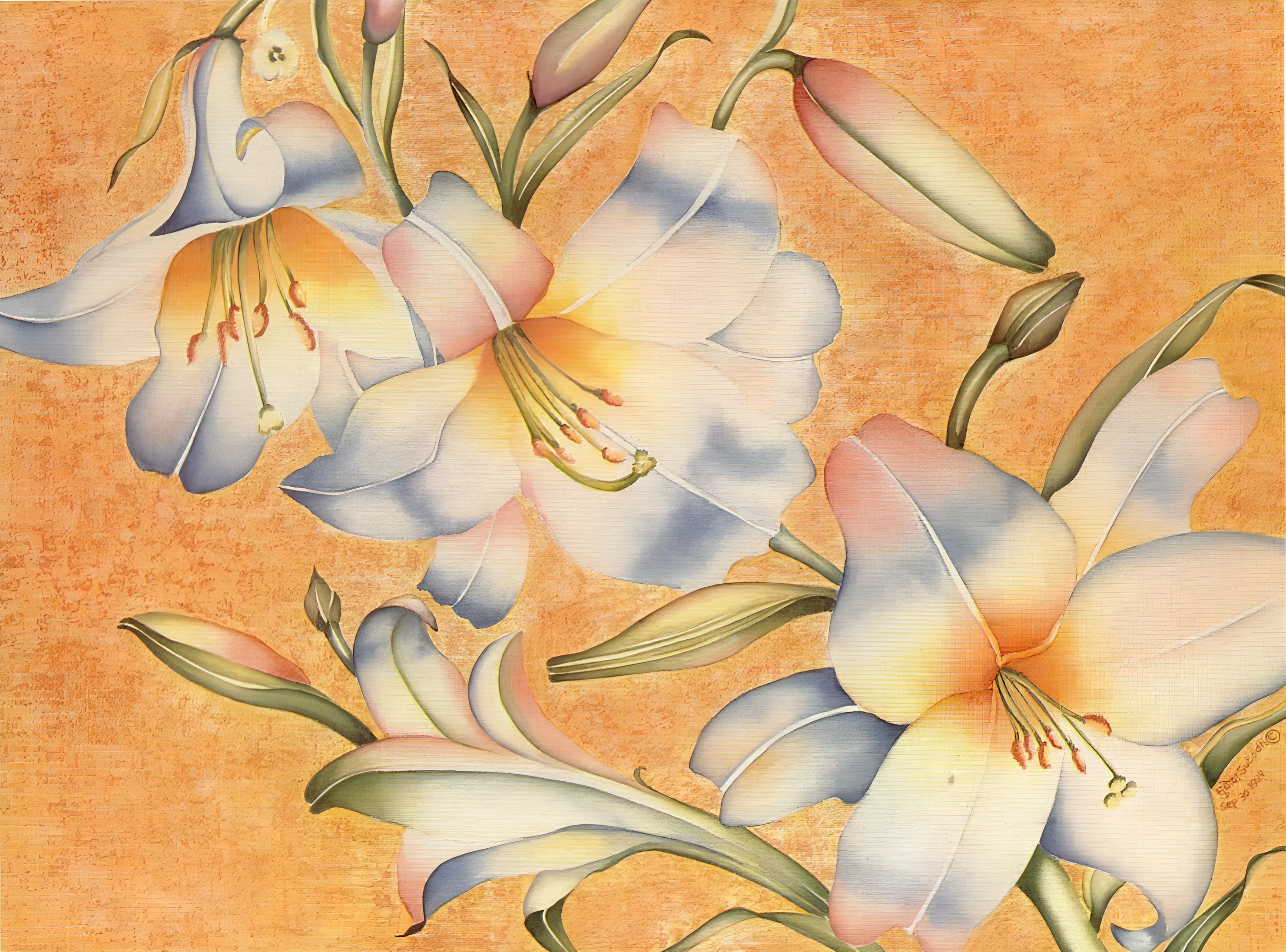 Easter Lily Product Image