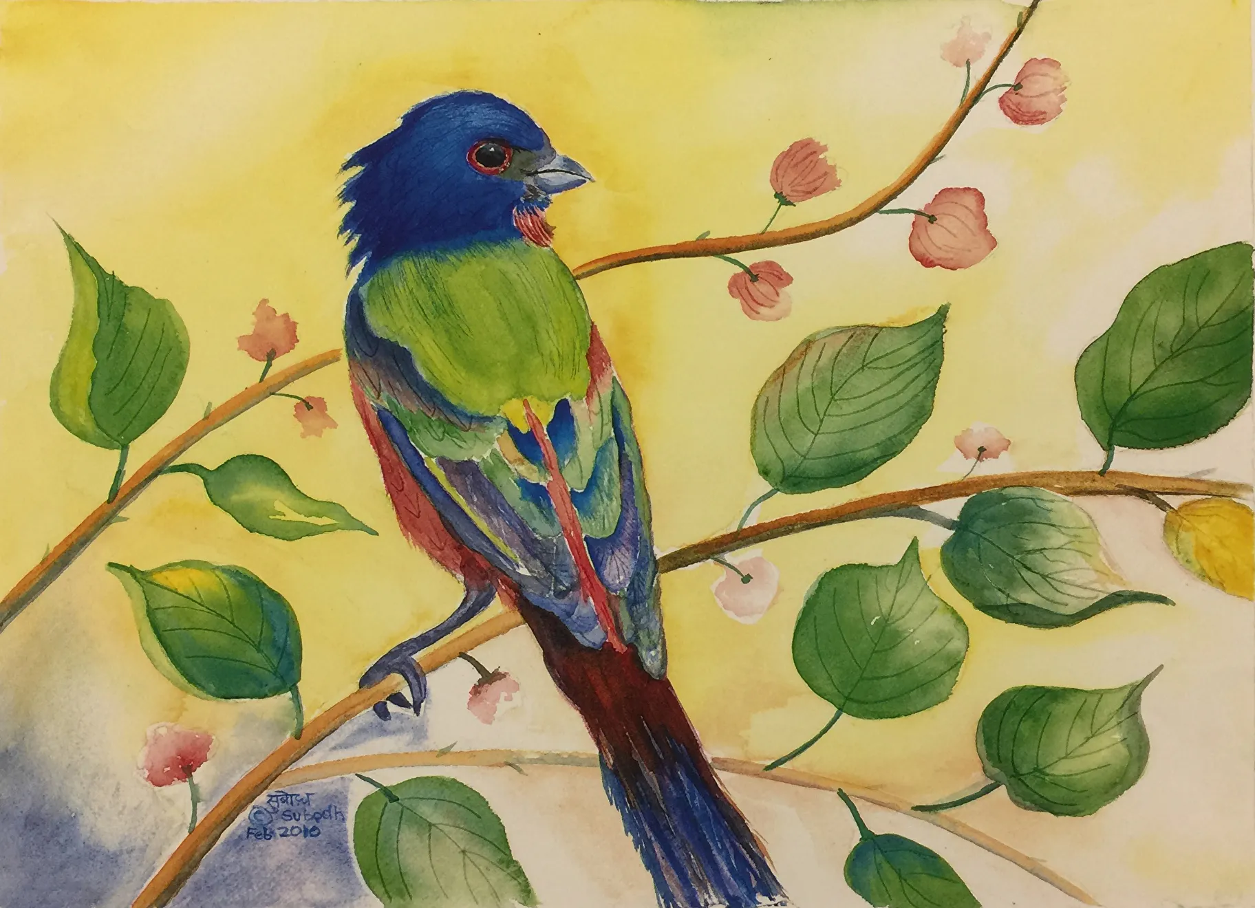 Bounty Product Image