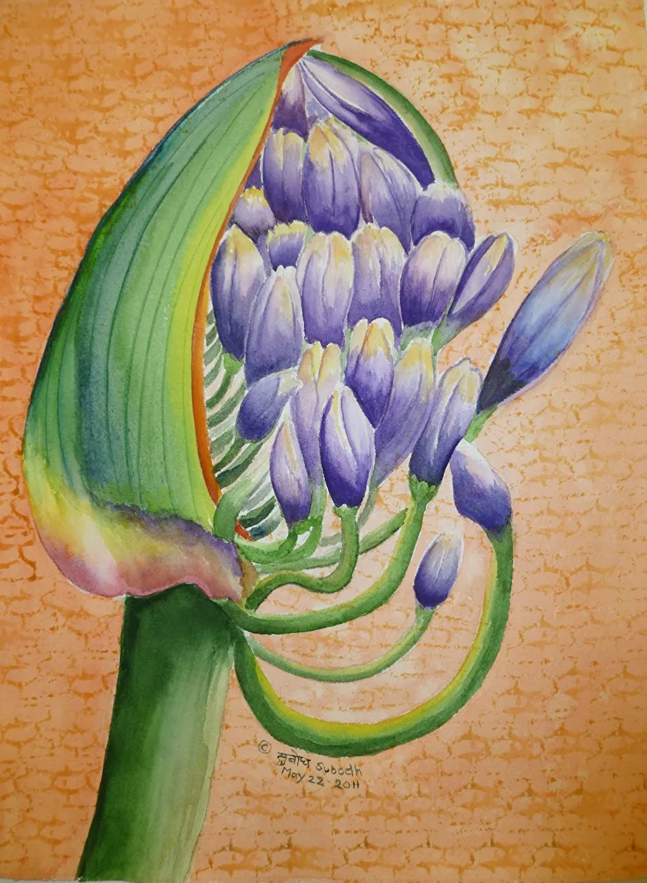 Blooming Product Image