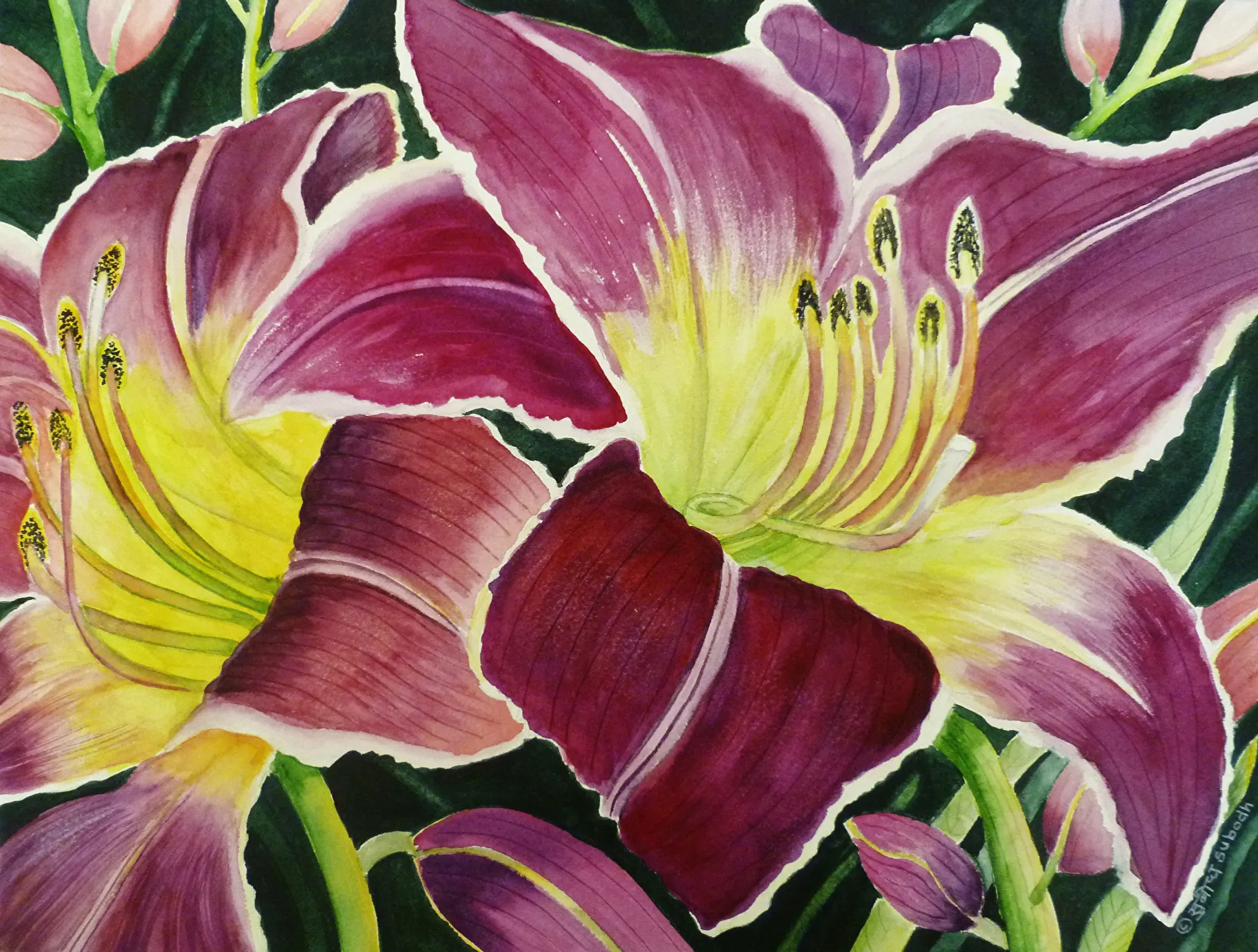 Purple Lily Product Image