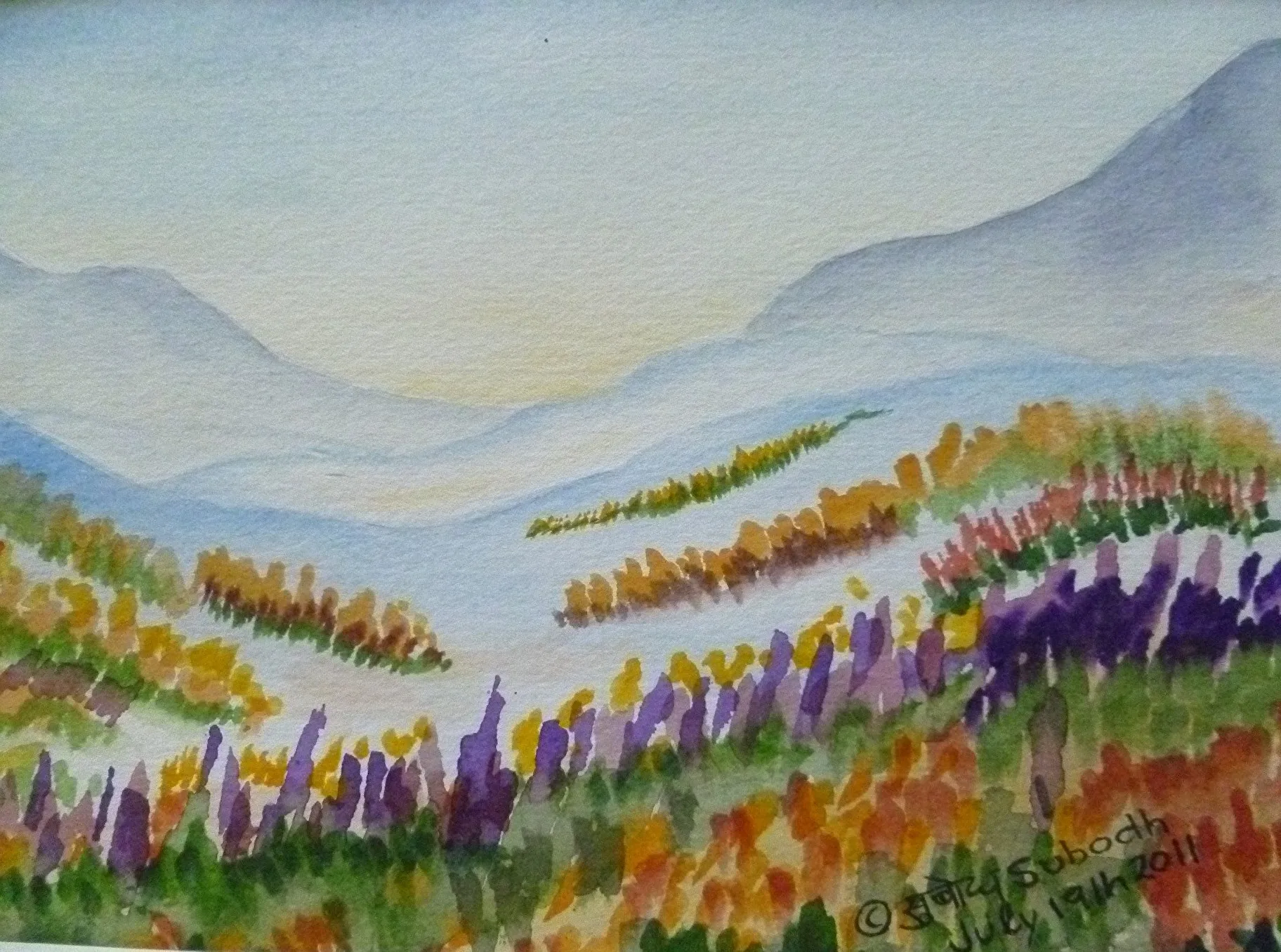 Valley of the Flowers III