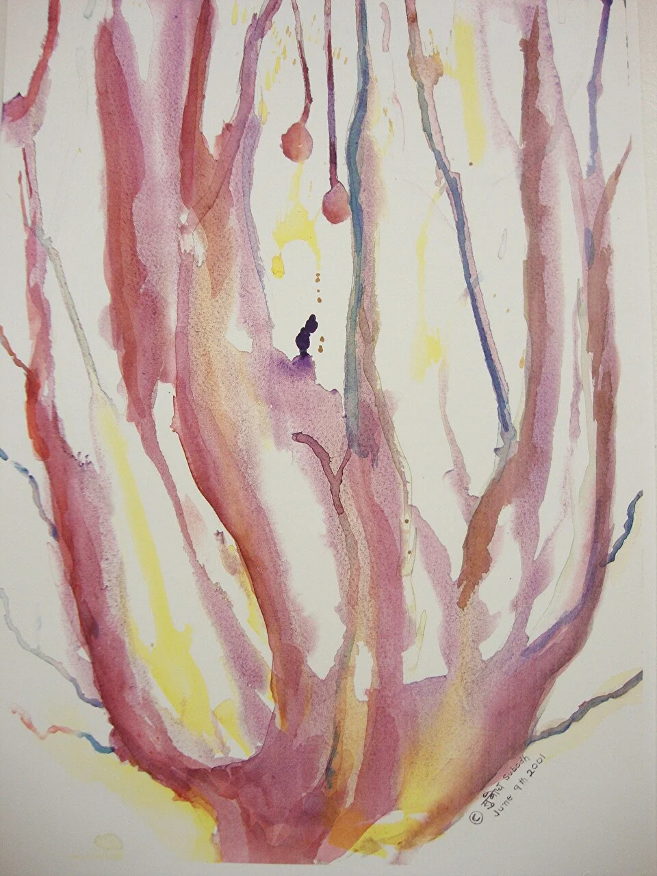 Boy on the Tree
