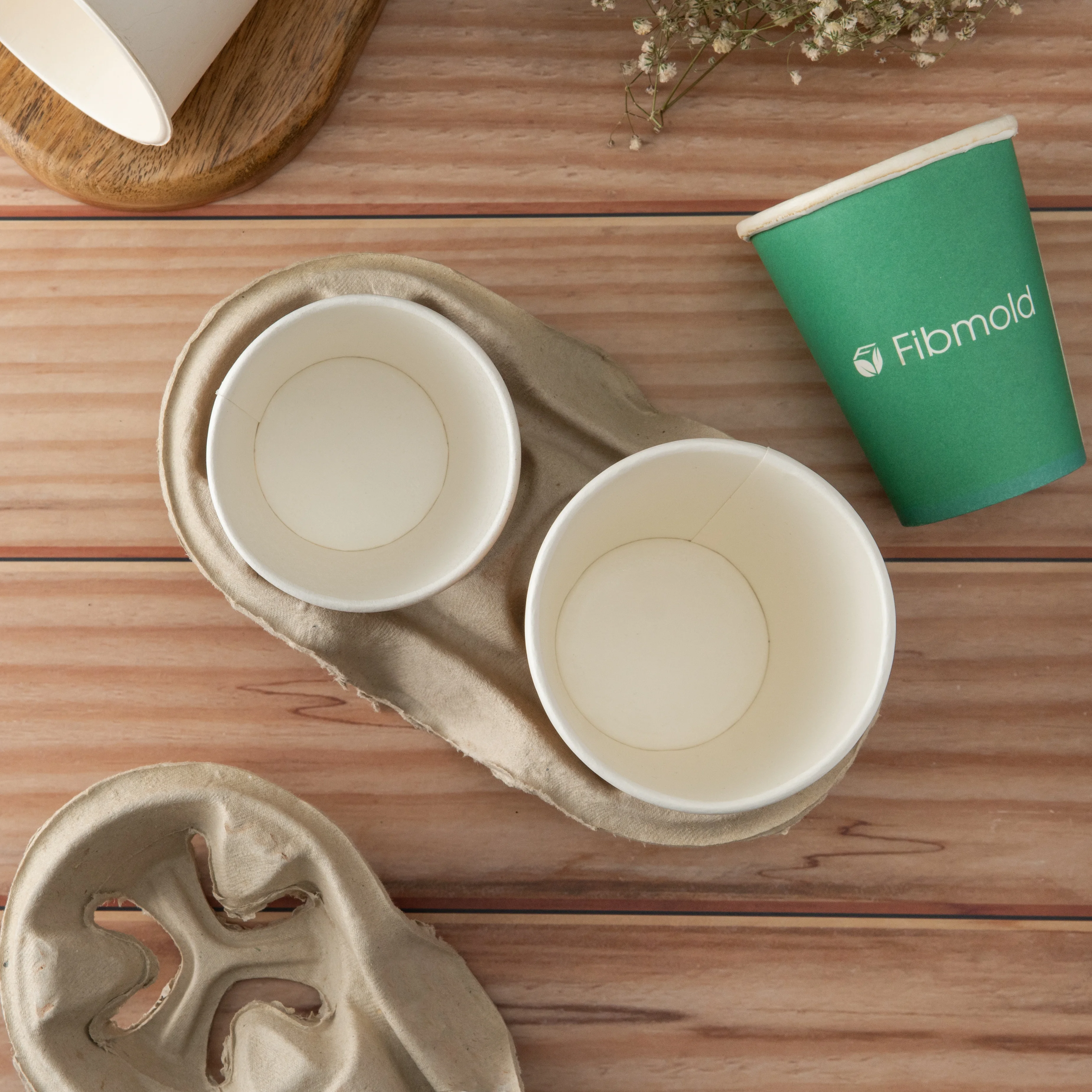 Bagasse to Box: India’s Eco-Friendly Packaging Future