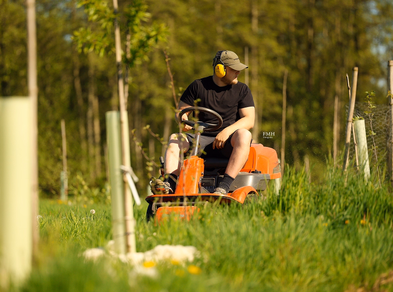 Food Forest Maintenance