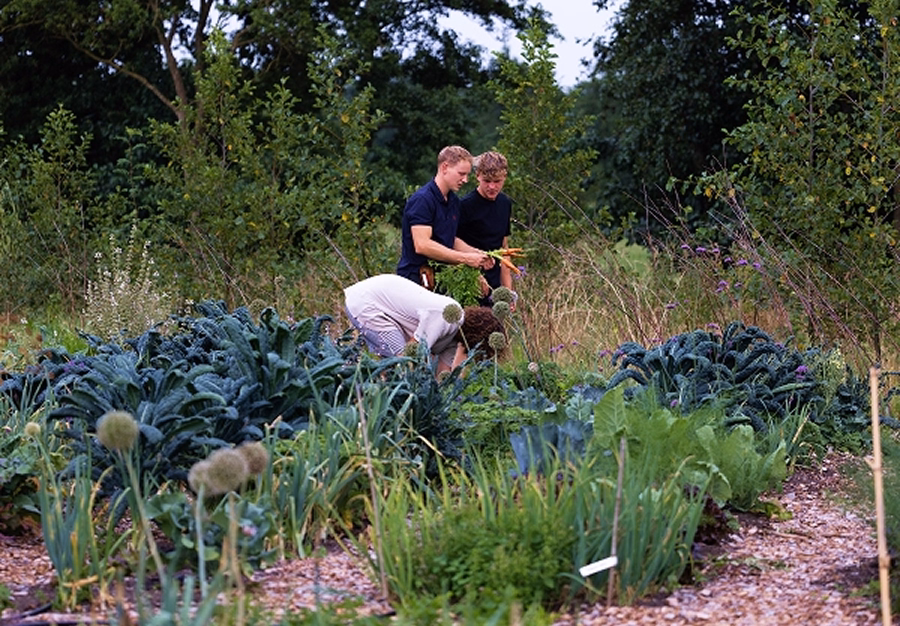 Food Forest