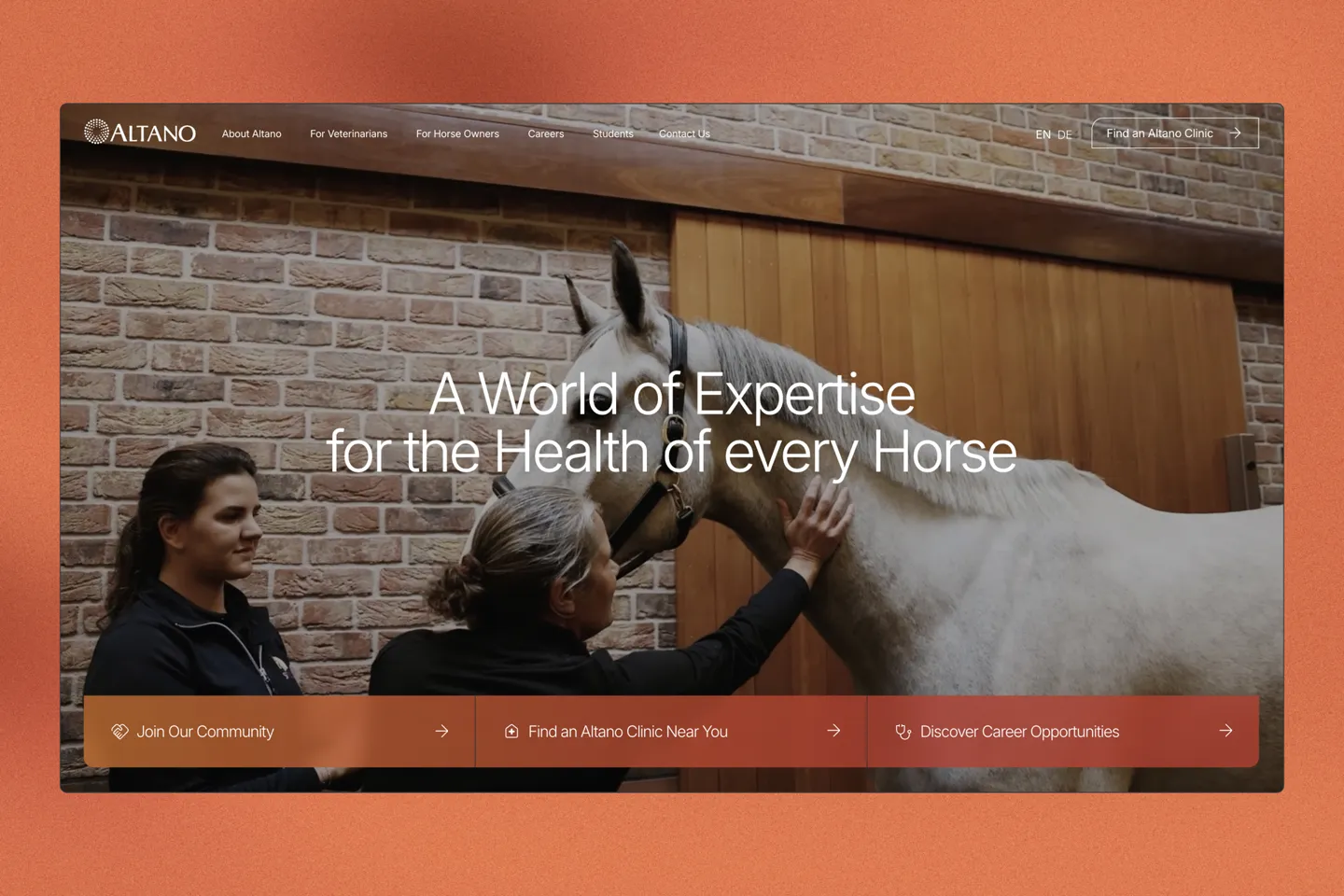 Zwei Frauen, die sich um ein graues Pferd in einer Stallumgebung kümmern.