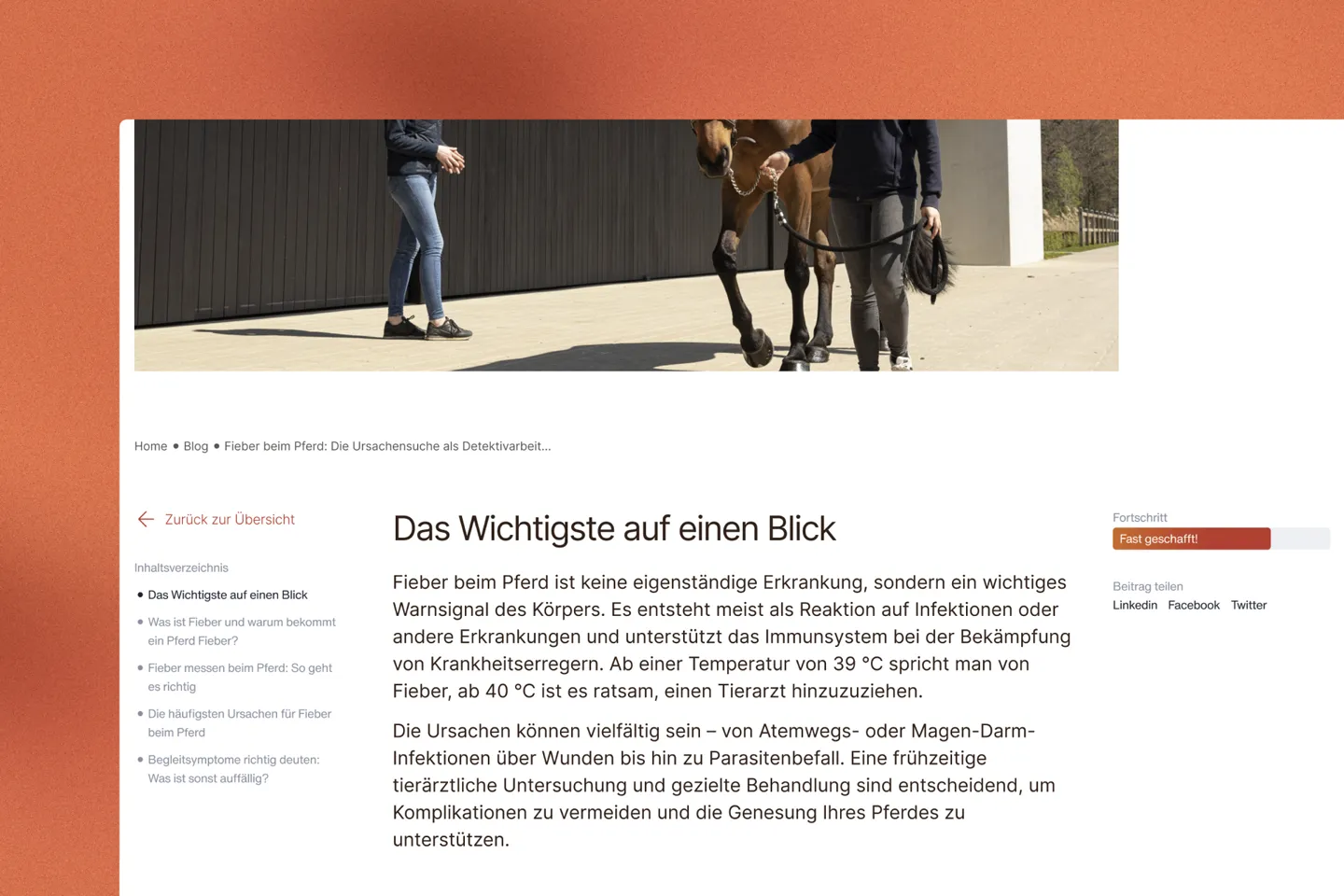 Anschnitt des Blog Layouts von Altano: Oben ein Bild von zwei Personen, die ein Pferd führen. Da drunter Breadcrumbs, Inhaltsverzeichnis, der Artikel selbst und rechts davon eine Fortschrittsanzeige, sowie Links zum Teilen auf Sozialen Medien.
