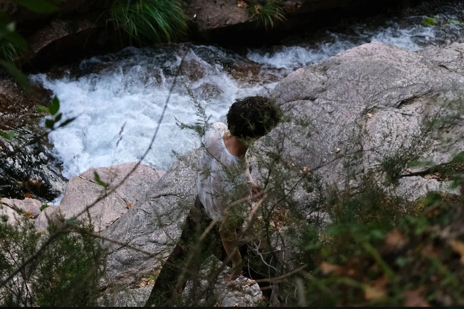 Showcase MLX mar 2020