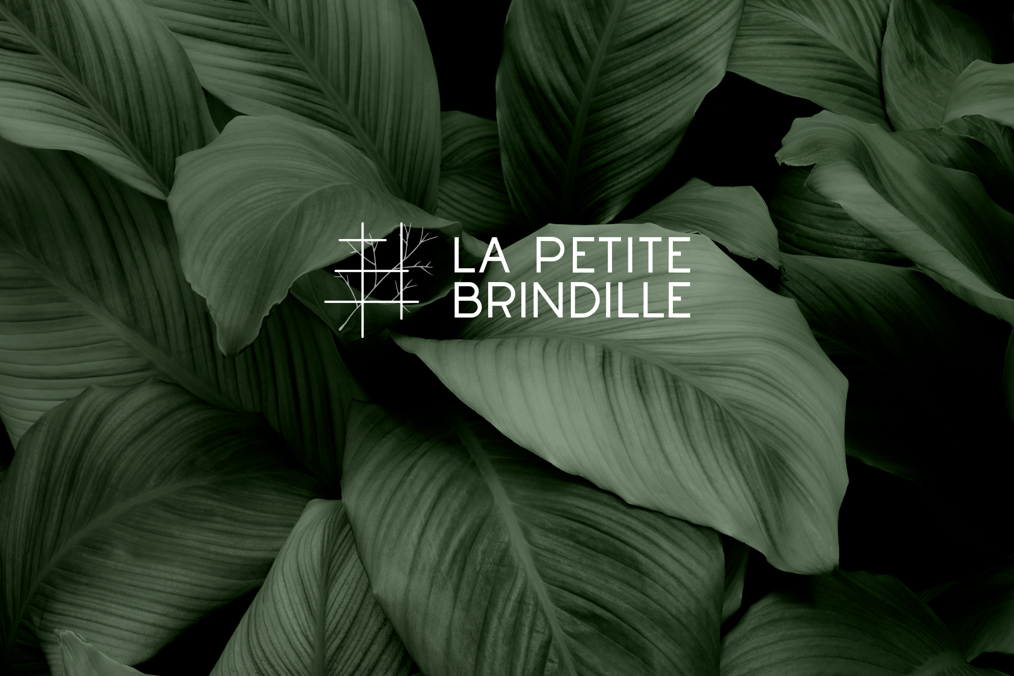 Plants with logo in center