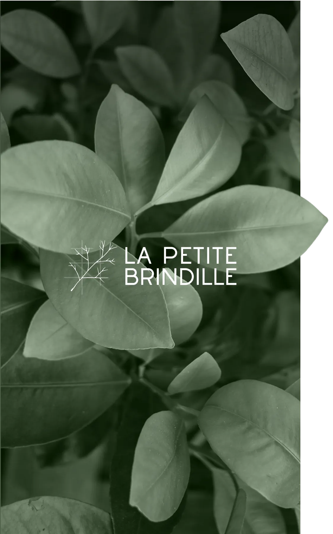 Plants with logo in center