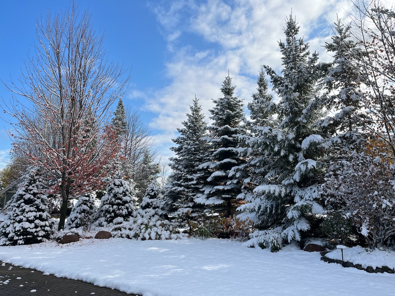 Lot 259 - 2015 Bluestem Dr (NEW LISTING)