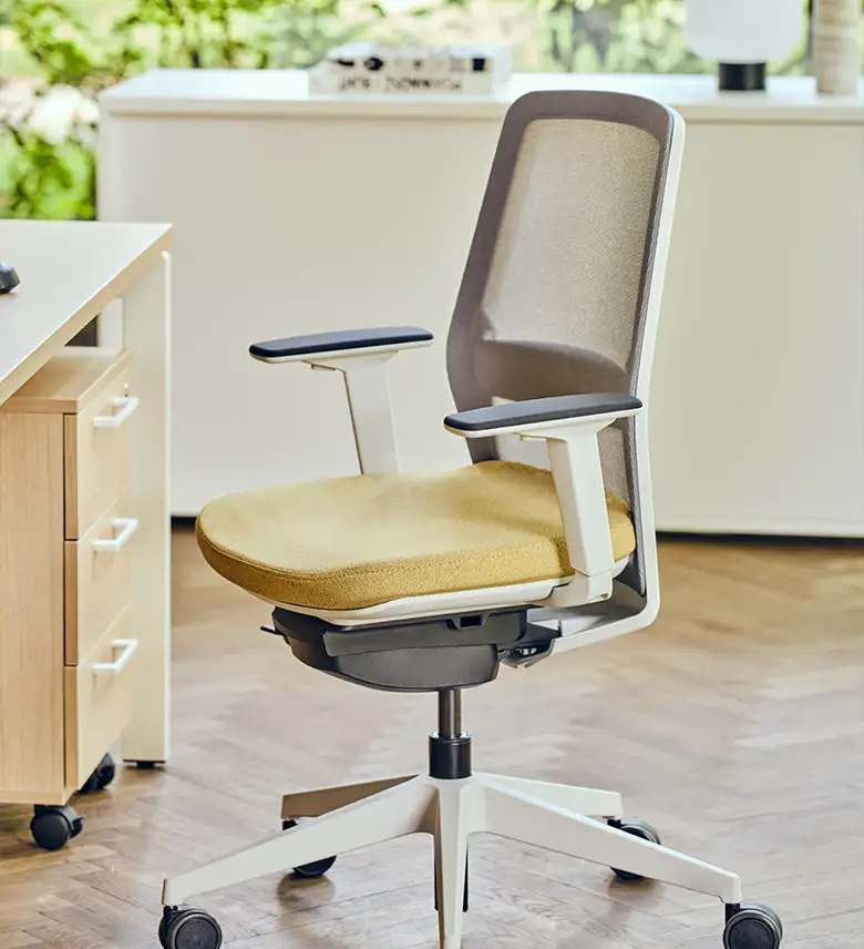 chairs