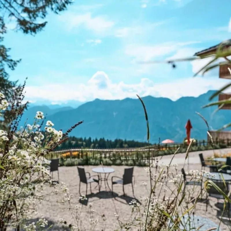 Aussicht von der Terrasse im Hallstatt Hideaway Mountain – Lesehotel in Bad Goisern