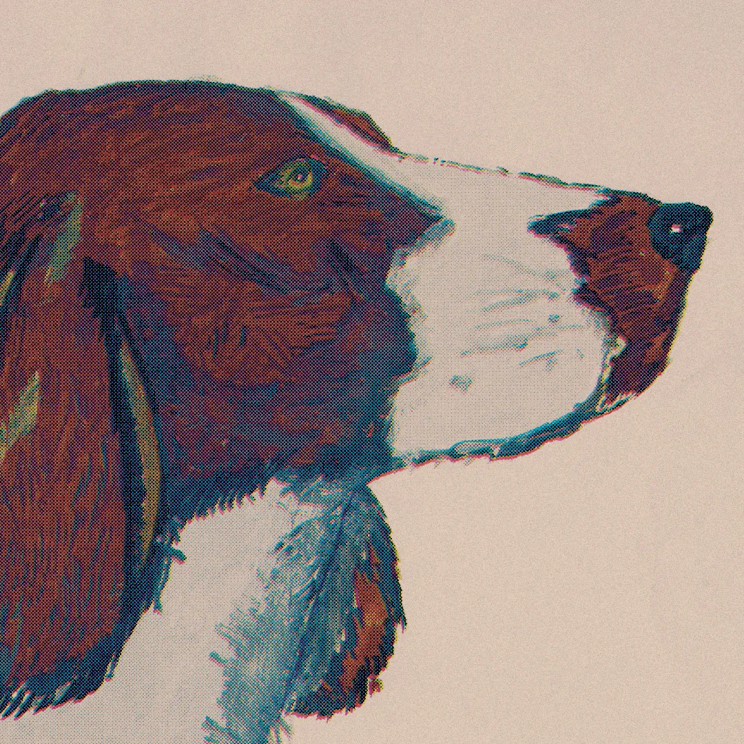 Drawing of a dog
