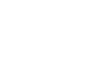 Mattel logo — Profitmind retail client