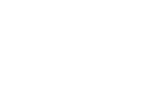Kirkland's logo — Profitmind retail client