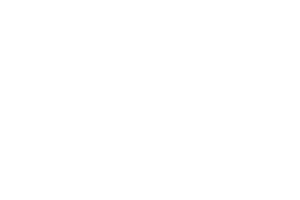 Leonisa logo — Profitmind retail client