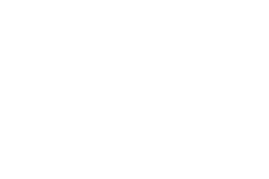 Busy Beaver logo — Profitmind retail client