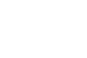Dunham's Sports logo — Profitmind retail client