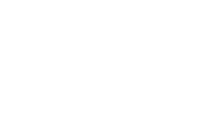 B+ logo — Profitmind retail client