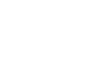 Columbus Consulting logo — Profitmind retail client