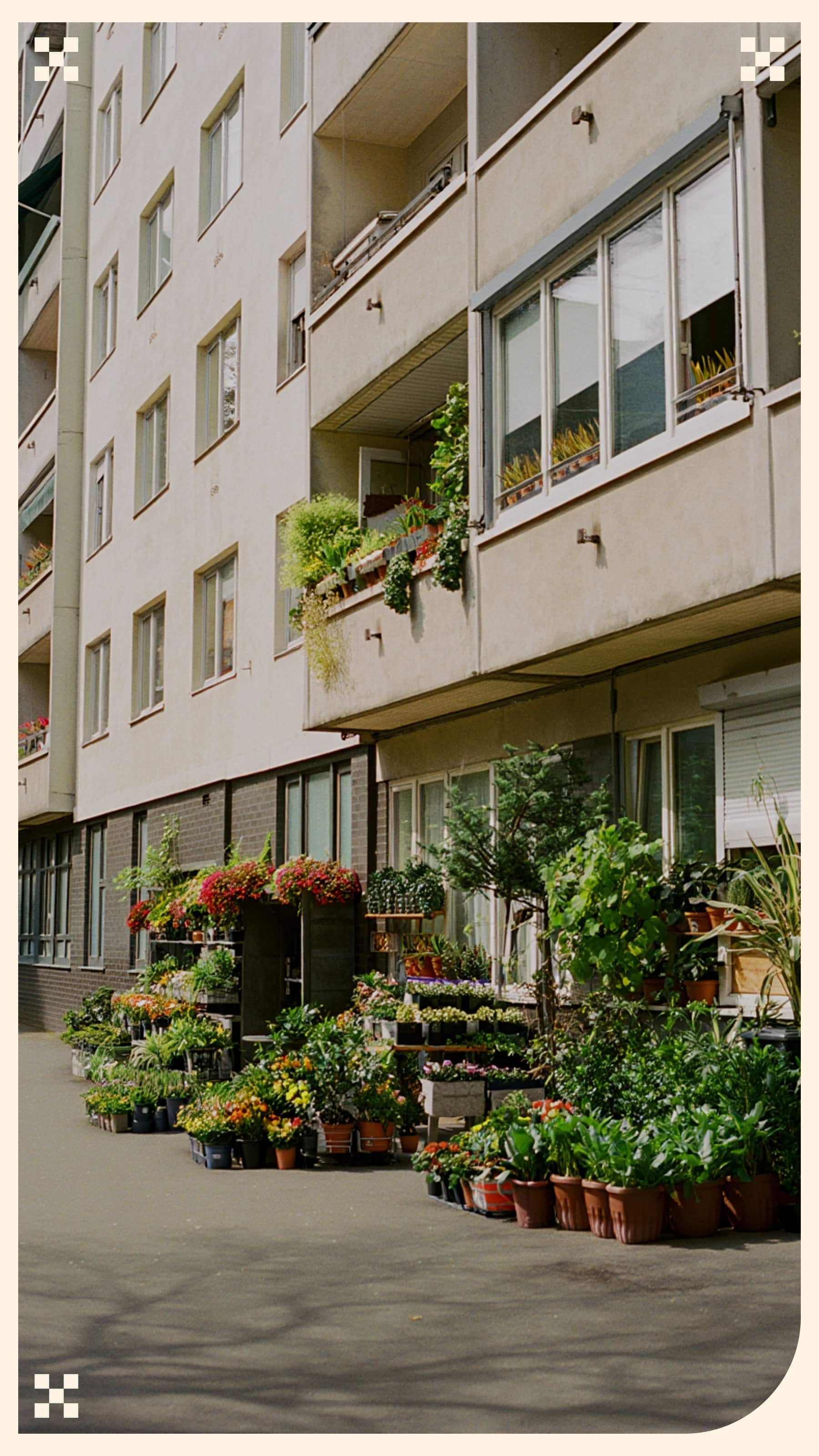 Des pots de fleurs à la place des dealers !