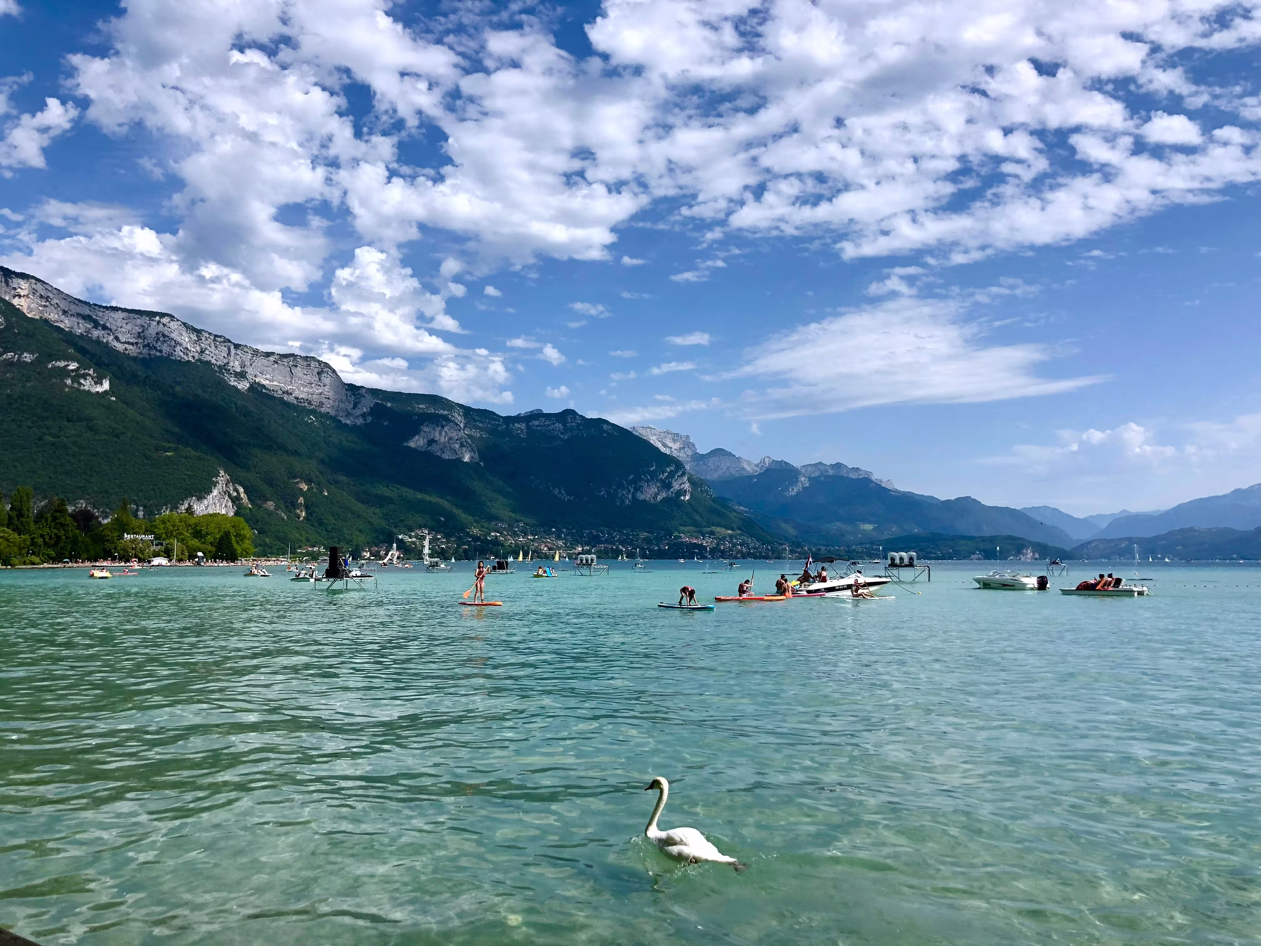 Lac, centre-ville ou périphérie : où acheter en copropriété à Annecy ? Prix au m², charges, syndic… Tout ce qu'il faut savoir avant de signer.