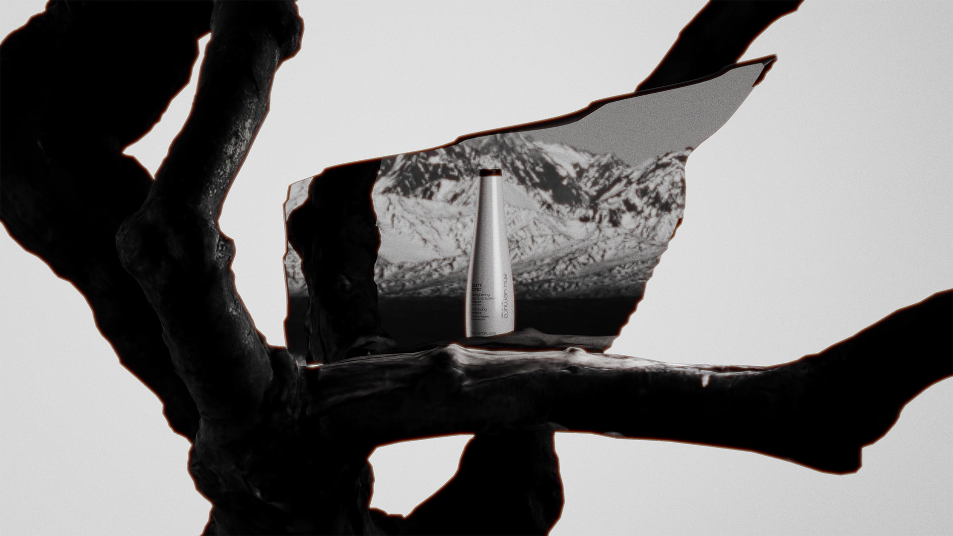 Combien coûte une animation CGI pour une marque luxe ?