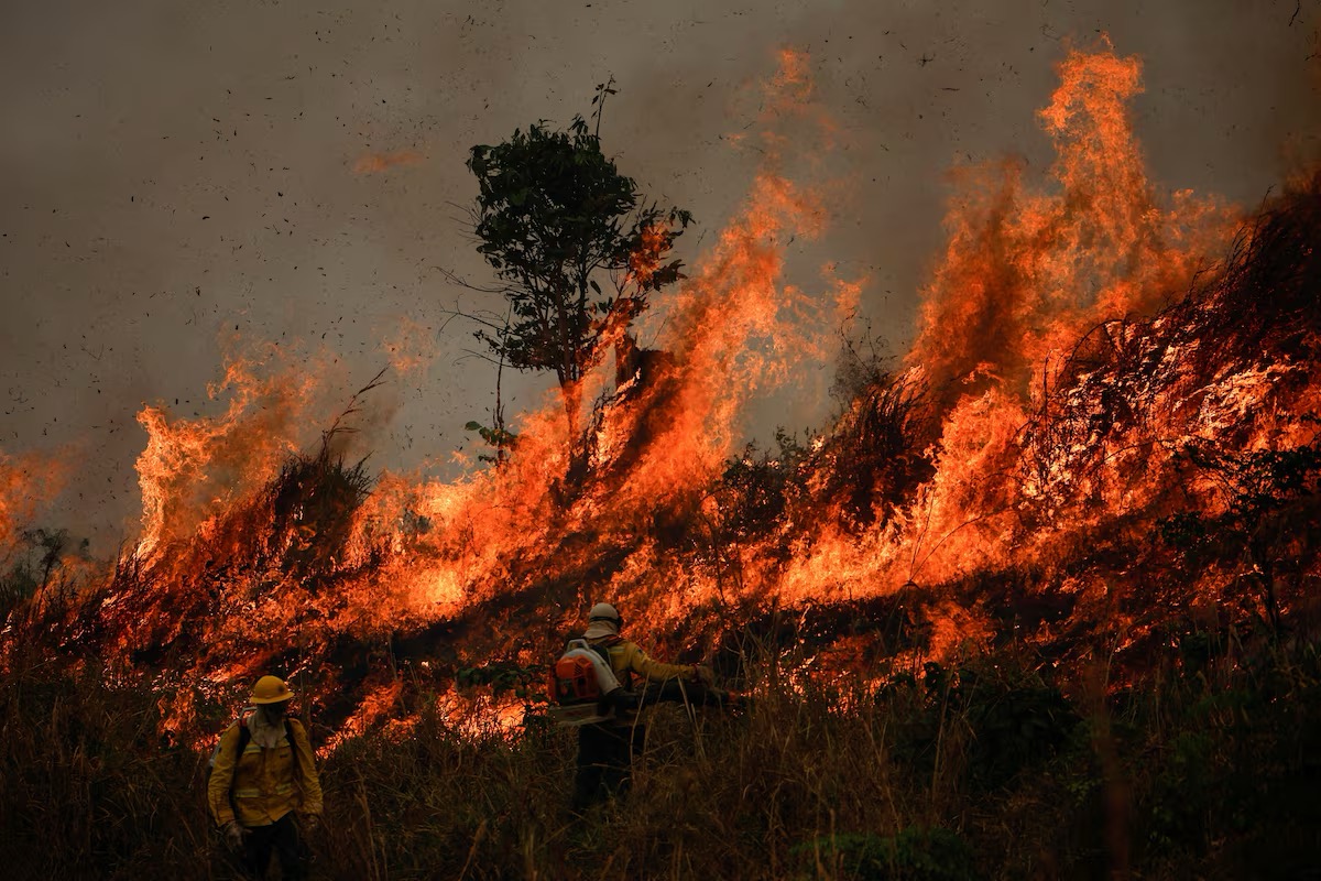 2 firemen are trying to put out the fires in Brazil’s Amazon rainforest