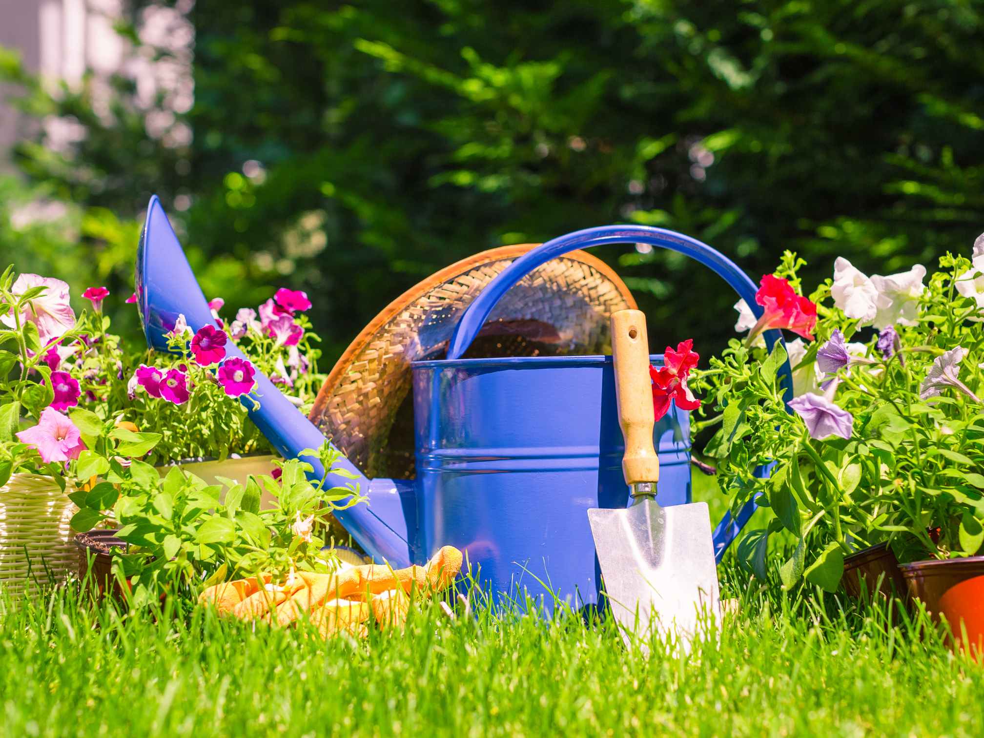 One-Off Garden Clearance Solutions Northampton