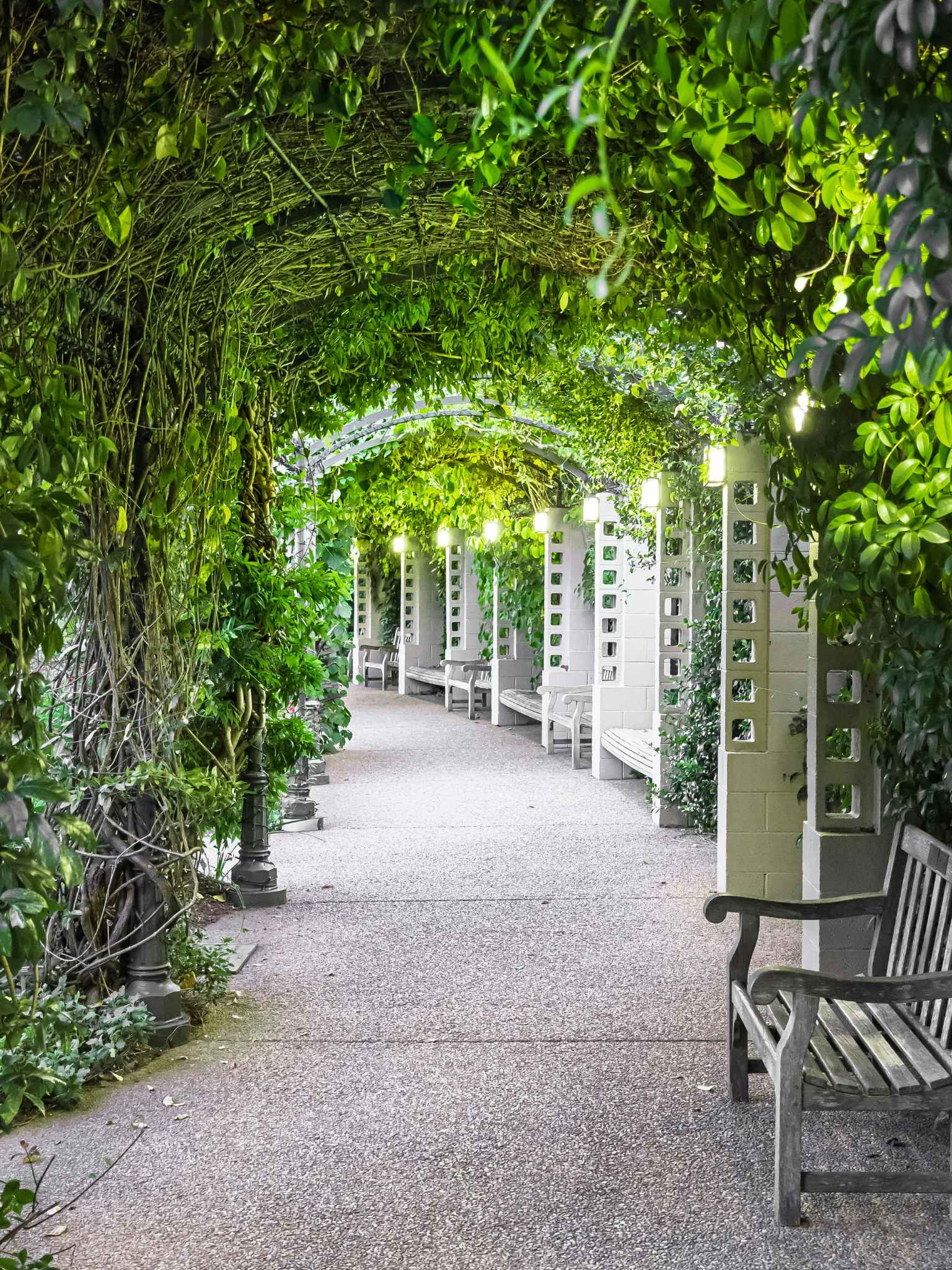 Garden Design Process in Northampton