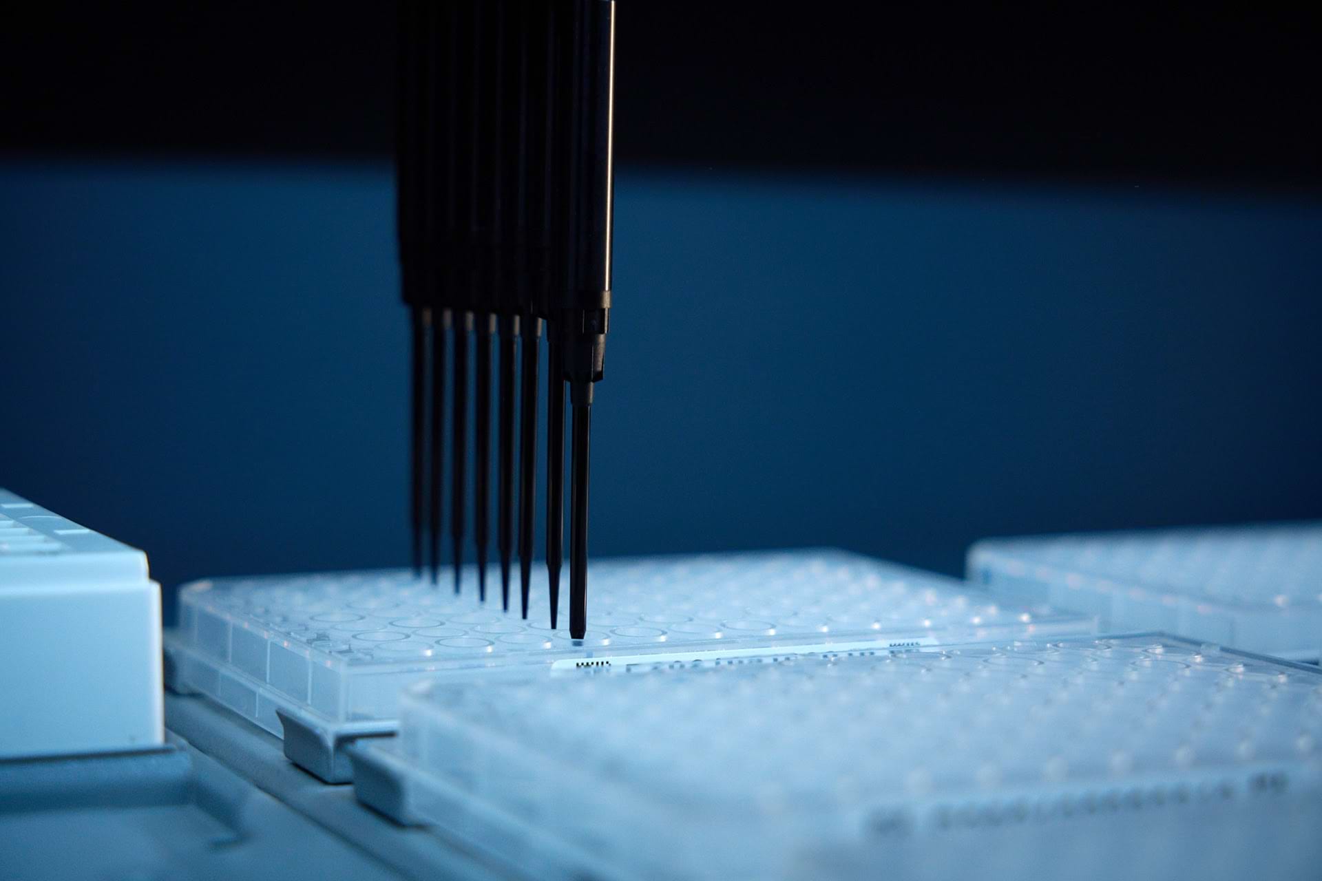 Dubai Design District