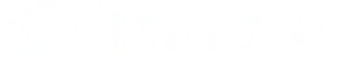 NVIDIA logo