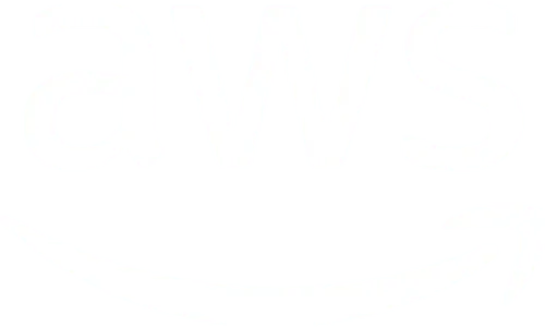 AWS logo