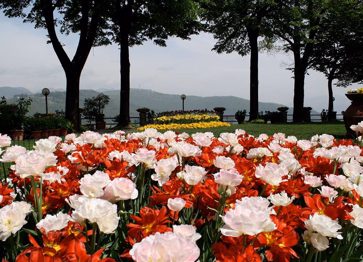 Vista del giardino in fioren del ristorante Il Pianone