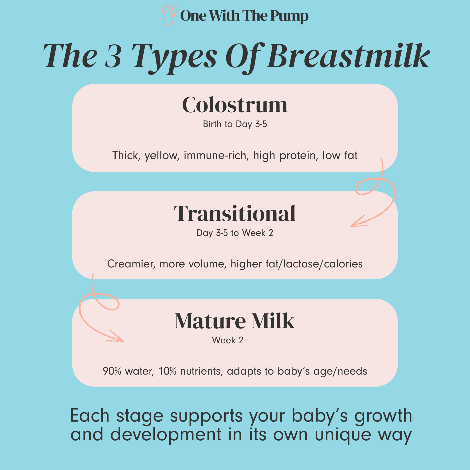 The 3 Types of Breast Milk
